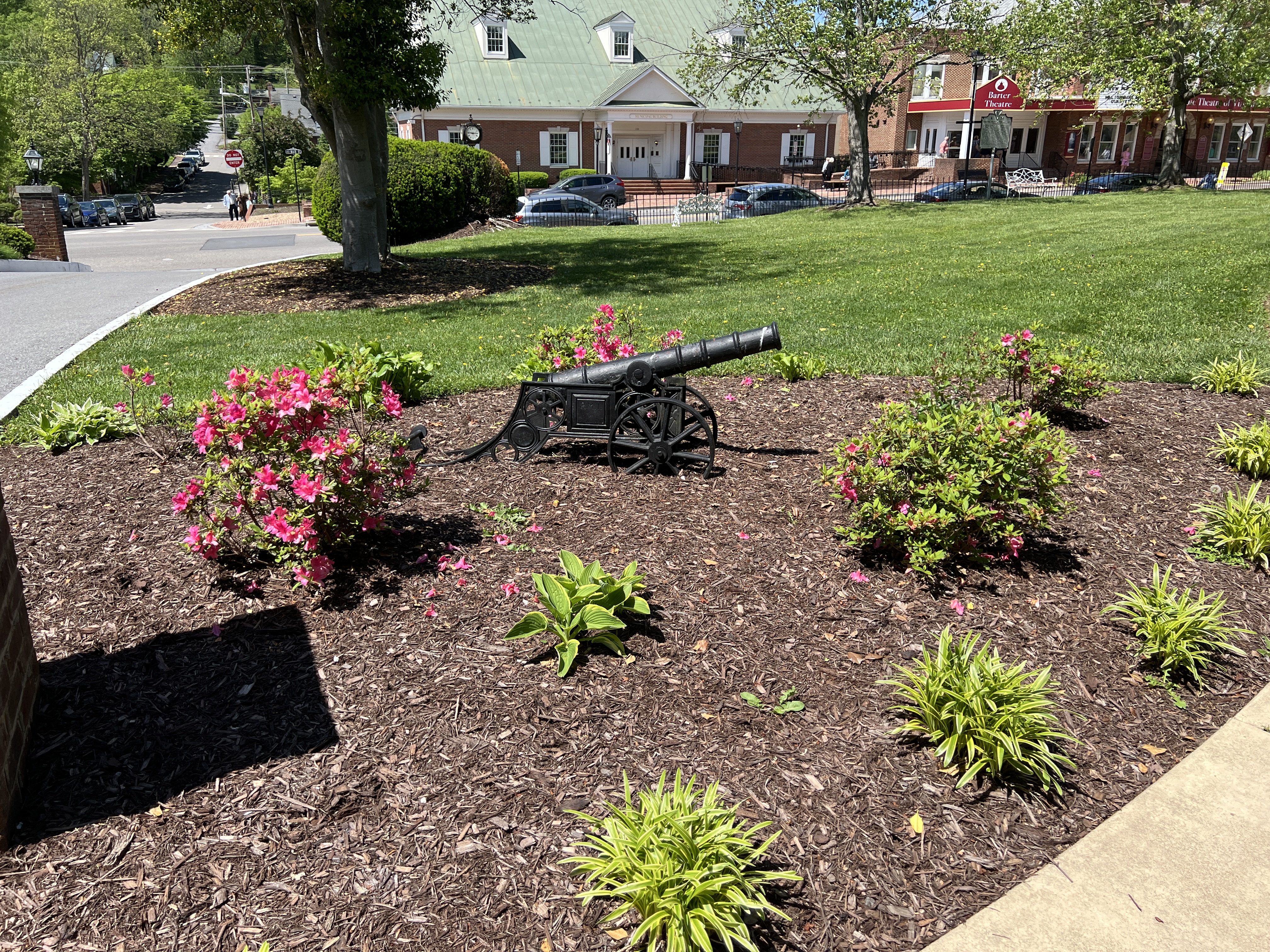 ./2025/04 - Virginia Creeper/IMG_5553.JPG